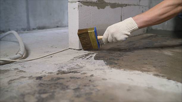 Top rated local Foundation Crack Repair specialists in Six Lakes, MI